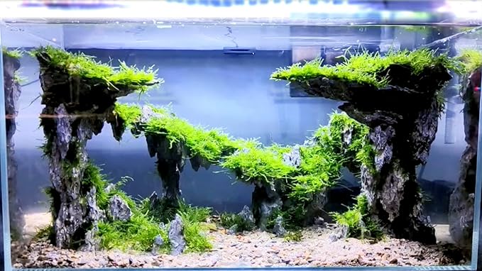 Fish Tank Decor Rocks.Aquarium Decoration Model.Easy and Quick Solution for Aquascaping.(Twilight)-PurrikoPets