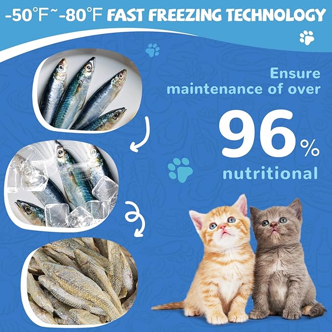 Freeze Dried Minnows Cat Treats – 100% Natural, Single-Ingredient Pet Snacks – Rich in Omega-3, Grain-Free – Healthy Training Rewards & Meal Toppers for Dogs & Cats, 2.8 oz-PurrikoPets