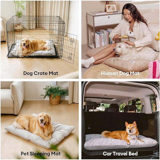 FUNNY FUZZY Washable Dog Bed,Reversible Plush Dog Crate Mat, Soft Fluffy Kennel Pad,Pet Sleeping Mattress for Jumbo,X-Large Sized Dogs Breeds,2XL,48"× 31",Light Grey-PurrikoPets