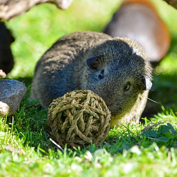 10 Pcs Small Animals Play Balls Rolling Activity Chew Toys Gnawing Treats for Rabbits Guinea Pigs Chinchilla Bunny Natural Balls, Pet Cage Entertainment Accessories(10Pcs)-PurrikoPets