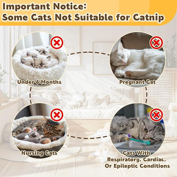 80PCS Catnip - Cat Nip for Cats Natural Dried Catnip Treats Premium Cat Nip Perfect for Toys, Training Rewards, Stress Relief, Freshly Harvested Bag Bulk Pack,2.8OZ-PurrikoPets