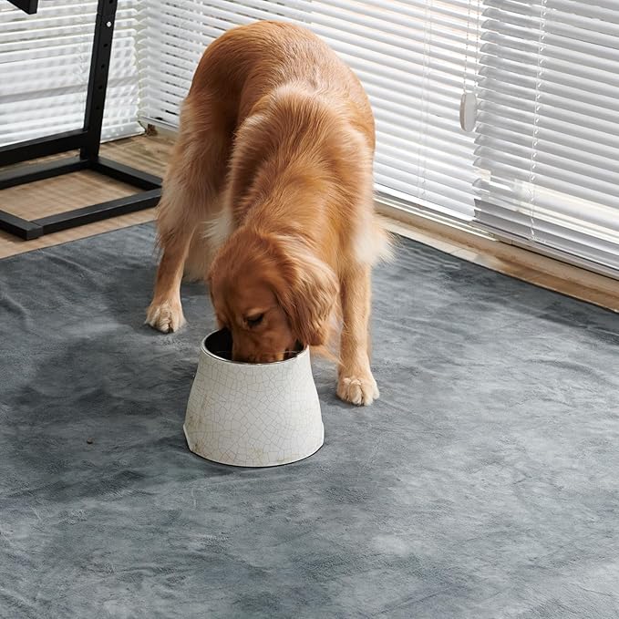 Dog Pee Pad Washable Extra Large, Instant Absorb Thicker Training Pads Non-Slip Pet Playpen Mat, Waterproof Reusable Floor Mat Ideal for Puppy Senior Dog Whelping Incontinence Housebreaking 65x48 Inch-PurrikoPets