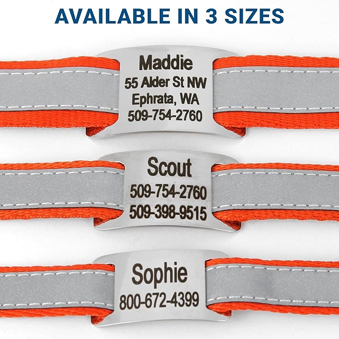 GoTags Reflective Personalized Dog Collar with Nameplate, Adjustable Dog Collar with Custom Engraved Steel Slide On Pet ID Tag, Silent, No Noise Dog Tag for Large Medium or Small (Orange, Medium)-PurrikoPets