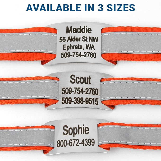 GoTags Reflective Personalized Dog Collar with Nameplate, Adjustable Dog Collar with Custom Engraved Steel Slide On Pet ID Tag, Silent, No Noise Dog Tag for Large Medium or Small (Orange, Small)-PurrikoPets