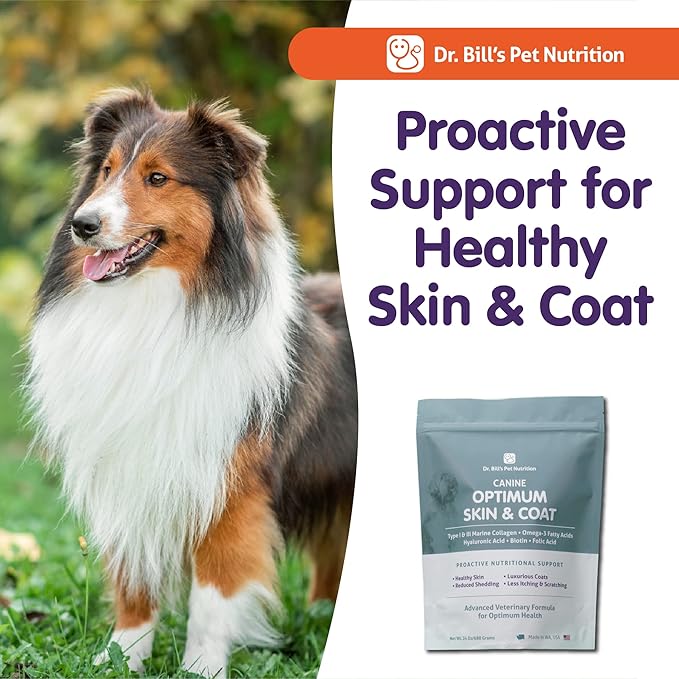 Dr. Bill's Canine Optimum Skin & Coat – Reduces Shedding, Itching, Dry Skin – Allergy Relief for Healthy Fur - Omega 3, Collagen, Biotin & Hyaluronic Acid – 340g Vet-Recommended Dog Supplement-PurrikoPets