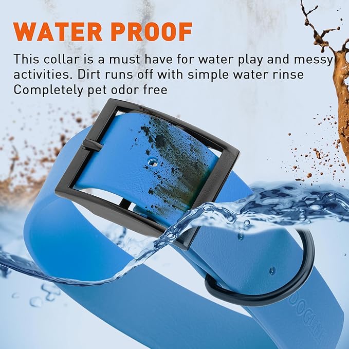 Dogline Biothane Waterproof Dog Collar Strong Coated Nylon Webbing with Black Hardware Odor- Proof for Easy Care Easy to Clean High Performance Fits Small Medium or Large Dogs, Cerulean Blue-PurrikoPets