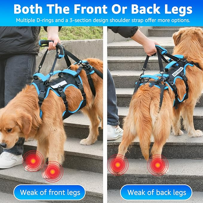 Dog Lift Harness for Large Male Dogs, 2-in-1, Back Leg Support & Mobility Assistance for Senior Dogs, Post-Surgery Recovery Sling(Black, Large)-PurrikoPets