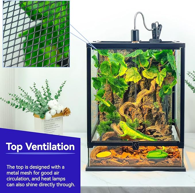 360° Clear View 35 Gallon 24x18x18 Glass Reptile Terrarium Suitable for Bearded Dragon, Chameleon, Crested Gecko, Multi-Pet Enclosure with Front Door, Excellent Ventilation, Hidden Wiring Holes-PurrikoPets