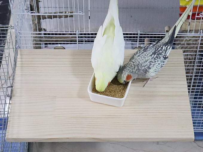 15.7×10.4 Inches Large Bird Perch Stand Platform, Natural Wooden Small Animals Cage Accessories, Rectangle Stand Perch Shelf for Parrot Parakeet Cockatiel Rat Hamster Guinea Pig Conure Chinchillas-PurrikoPets