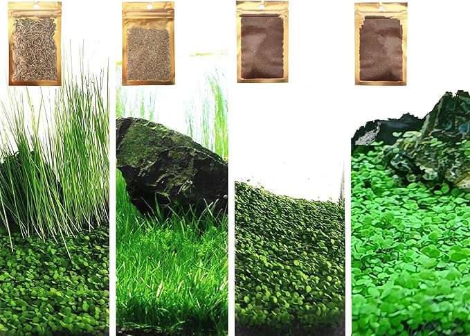 4 Pack Aquarium Plant S.e.e.ds, no Artificial Plastic Plant, Fish Tank Live Grass for All Substrate (0.36ozTiny+0.36oz Long+0.36oz Short+0.36oz Big Dual) ZQV-005-PurrikoPets