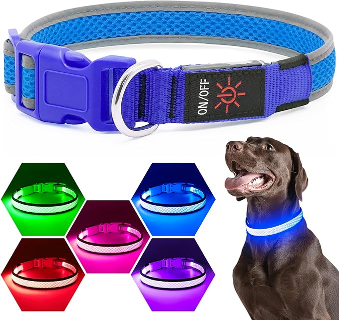 Flashseen LED Dog Collar, Light Up Dog Collar USB Rechargeable, Brightest Dog Lights for Night Walking, Adjustable Dog Collar Light for Dog Safety(Medium, Royal Blue)-PurrikoPets