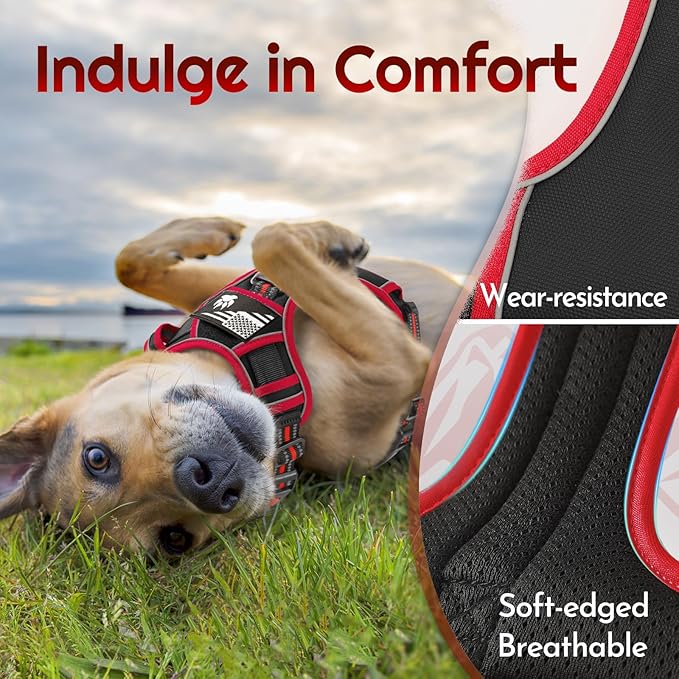 Eagloo Dog Harness for Large Dogs, Easy Wearing with 3 Buckles, Adjustable No Pull Pet Harness with 2 Rings for Walking, No Chock Reflective Soft Padded Vest with Control Handle, Black & Red, L-PurrikoPets