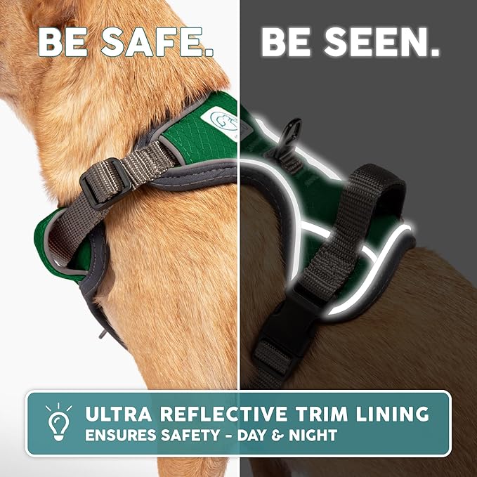 Embark Adventure Dog Harness, Reflective Trim No Pull Dog Harnesses for Small Sized Dogs - Military Grade Nylon, Front Clip with Gel Lined Handle.-PurrikoPets