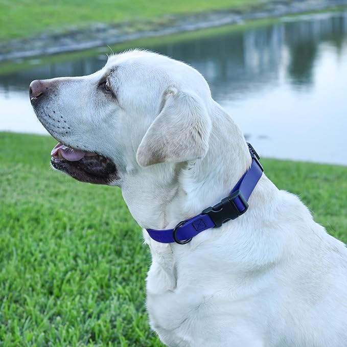 Dogline Biothane Waterproof Dog Collar with Quick Release Buckle Strong Coated Nylon Webbing with Odor- Proof for Easy Care Easy to Clean Fits Small Medium or Large Dogs, Royal Blue 3/4" W 12-19" L-PurrikoPets