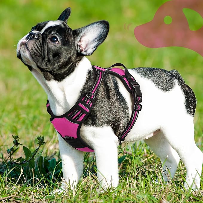 Eagloo Dog Harness Small Sized Dog, No Pull Service Vest with Reflective Strips and Control Handle, Adjustable and Comfortable for Easy Walking, No Choke Pet Harness with 2 Metal Rings, Rose Red, S-PurrikoPets