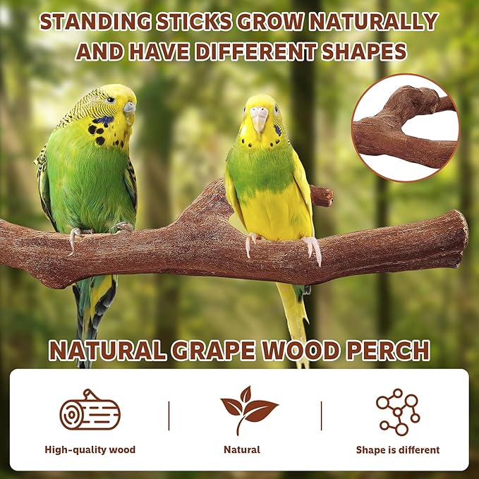 7-Piece Bird Perch Set: 3 Grapevine Paw Grinding Forks, 2 Wood Stands & 2 Hammocks - Cage Accessories for Parakeets, Cockatiels, Conures, Budgies-PurrikoPets