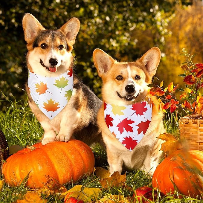 Abbylike 50 Pcs Fall Dog Bandana Bulk Maple Leaves Bandana for Dogs Triangle Kerchief Bibs Scarf for Small Medium Large Pet Autumn Thanksgiving Costume Accessories, 25 Styles (31.5 x 21.7 x 21.7 Inch)-PurrikoPets