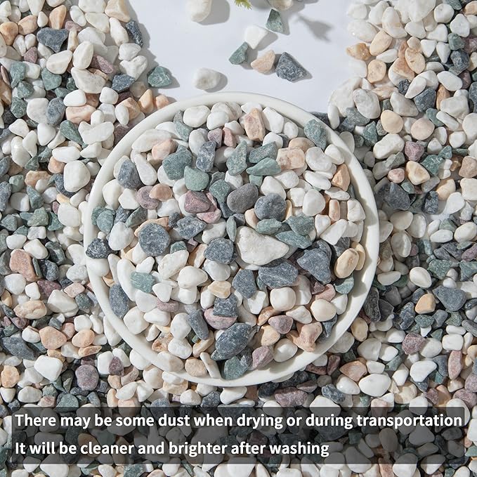 2lb Succulent and Cactus Gravel Pebbles 1/5-3/8 Inch Natural Decorative Polished Stones River Rocks for Plants, Vases, Aquariums, Terrarium and Outdoor Gardening, Mixed Color-PurrikoPets