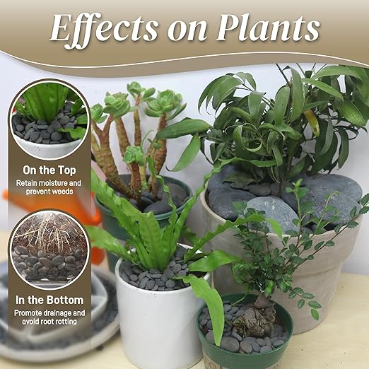 5 lbs Mexican Beach Pebbles, 2-3 Inch Decorative River Rocks for Fish Tank Aquarium Fountain, Decorative Pebbles for Garden Landscaping, Home Décor, Outdoor Paving Walkways Pathways Backyard-PurrikoPets