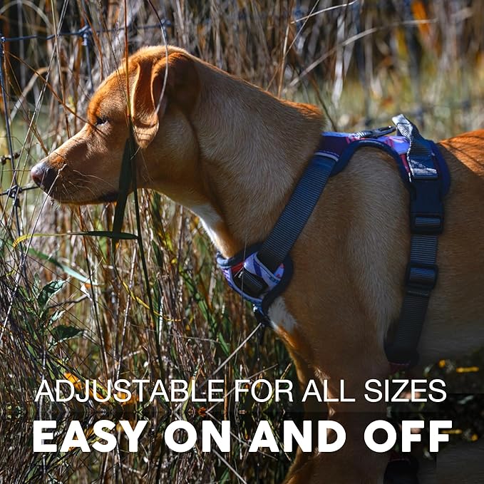 Embark Adventure Dog Harness, Reflective Trim No Pull Dog Harnesses for Small Sized Dogs - Military Grade Nylon, Front Clip with Gel Lined Handle.-PurrikoPets
