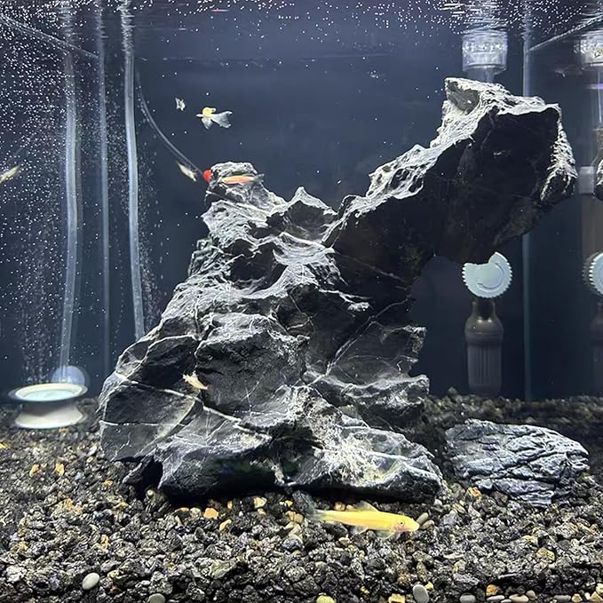 10 lbs Black Lava Rocks for Fire Pits,5-8 MM Crush Volcanic Rock Pumice Soil Additive for Succulent Plants Aquarium Cactus Bonsai and Garden Landscaping-PurrikoPets