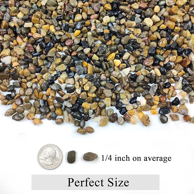 20lbs Natural Fish Tank Gravel,1/4 Inch Pea Gravel. Mixed Color River Rocks for Aquarium, Succulent, Vase, Cactus Bonsai, Plant Soil Cover and Outdoor Landscaping Rocks-PurrikoPets