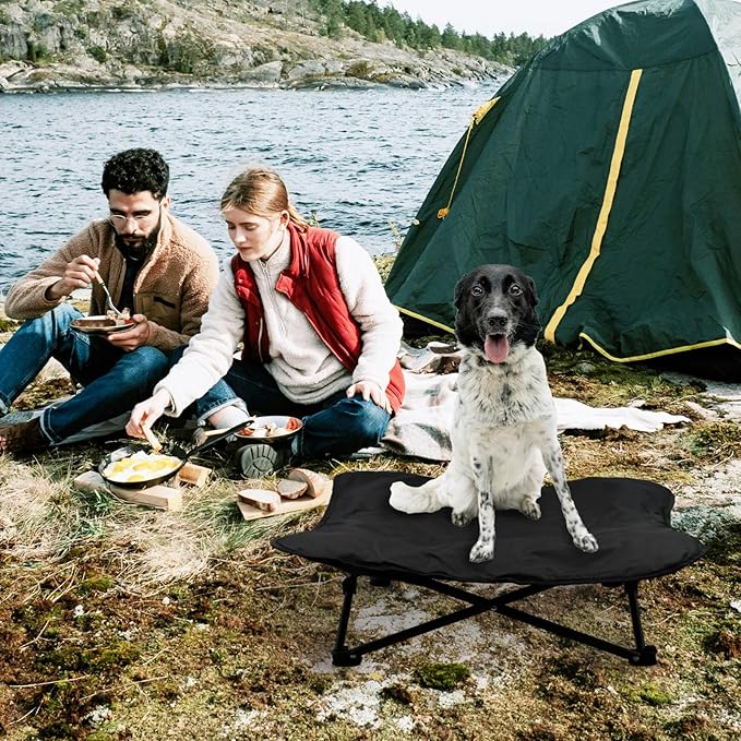 Elevated Dog Bed, Portable Raised Pet Cot for Outdoor and Indoor Folding Dog Cot Bed with Padded Filling Carrying Bag Included Pet Raised Travel Lounger for Camping Traveling (36x36x12inch)-PurrikoPets