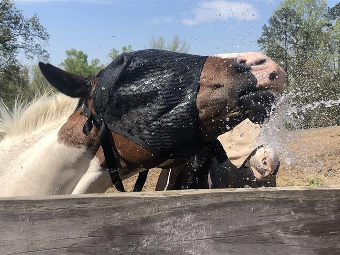 EquiVizor 95% UV Eye Protection (XL) Standard Horse Fly Mask - Help with Uveitis, Corneal Ulcer, Light Sensitivity. Designed to Stay On Your Horse.-PurrikoPets