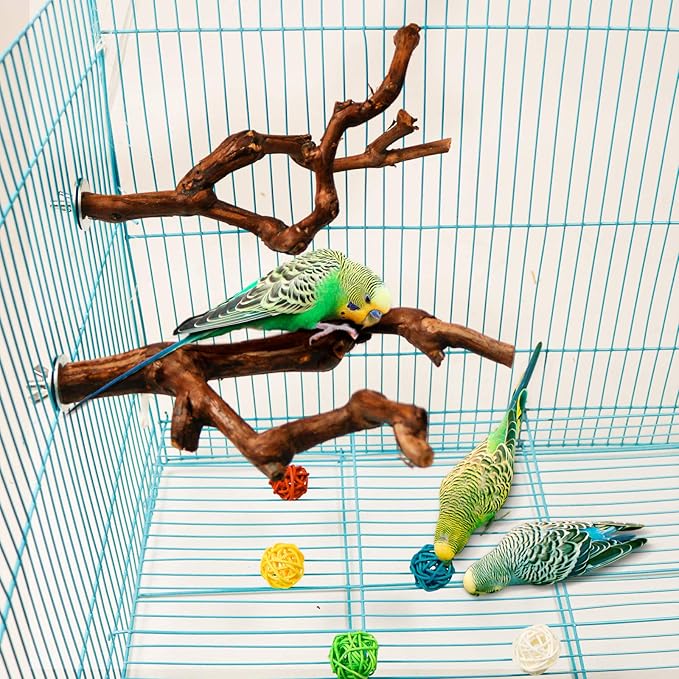 2 Packs Parrot Bird Perches,Natural Wild Grape Stick Grinding Paw Climbing Standing Cage Accessories Toy for 3-4 Parakeets, Budgies, Lovebirds,Cockatiels (Style-1)-PurrikoPets