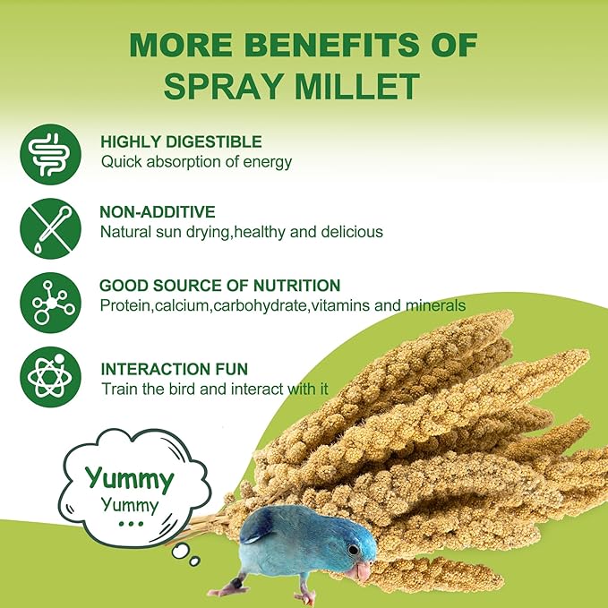 2LB Spray Millet Bird Treat for Parakeets, Natural Sun-Dried Birds Millet Spray for Parrots, Finches, Cockatiel, Budgie & Hamster, Bird Food Bulk-PurrikoPets