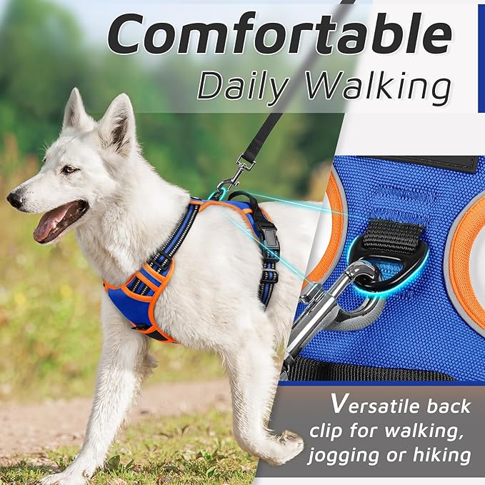 Eagloo Dog Harness for Large Dogs, No Pull Service Vest with Reflective Strips and Control Handle, Adjustable and Comfortable for Walking, No Choke Pet Harness with 2 Metal Rings, Blue & Orange, XL-PurrikoPets