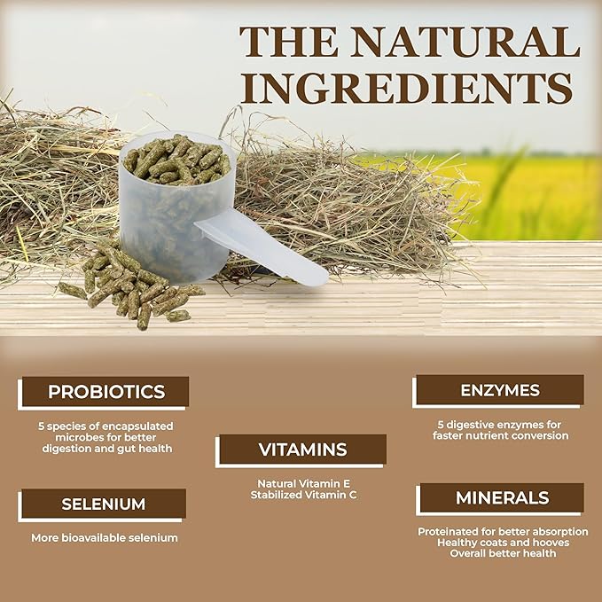 Equerry's Economy Equine Supplement - Horse Probiotics | Supplement for Horses | Horse Vitamins and Minerals Supplement with Enzymes and Selenium, 10lb-PurrikoPets