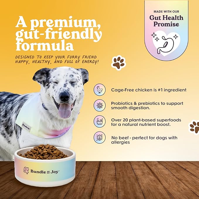 Golden Probiotic Dog Food Dry, Chicken, 4lb Bag, Allergy and Gut-Friendly Adult Kibble for Digestive Health with Cage-Free Chicken, 20 Plant Based Superfoods, Beef and Grain Free-PurrikoPets