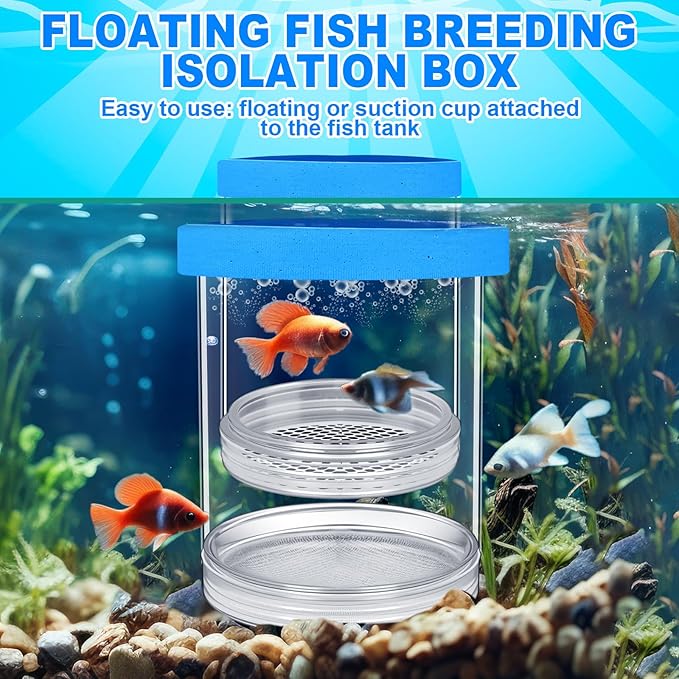 2 Pcs Breeder Box for Fish Tank Aquarium Breeder Separation Net Breeding Box with Suction Cup for Small Fish Shrimp Clownfish Guppy(Blue,L)-PurrikoPets