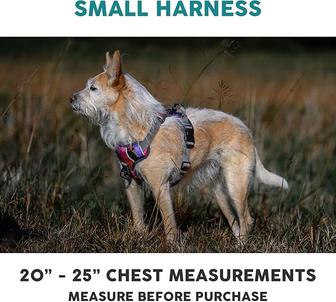 Embark Adventure Dog Harness, Reflective Trim No Pull Dog Harnesses for Small Sized Dogs - Military Grade Nylon, Front Clip with Gel Lined Handle. Soft & Padded Puppy-PurrikoPets