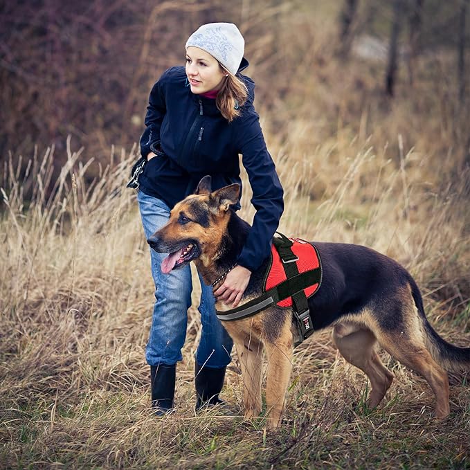 Dogline Dog Harness, Reflective No-Pull Adjustable Vest with Handle for Walking, Training, Service Breathable No - Choke Harness for Small, Medium or Large Dogs Room for Patches Girth 18 to 24 in Red-PurrikoPets