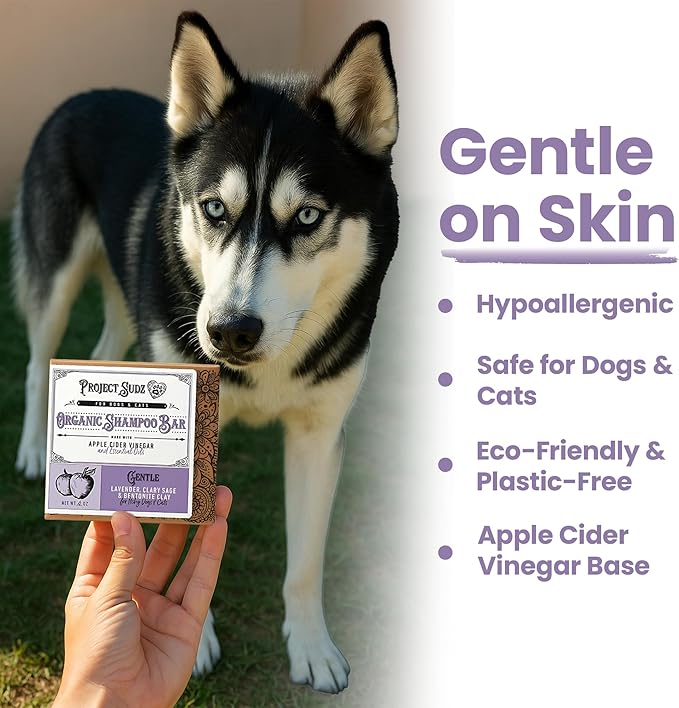 Gentle All Natural Dog Shampoo for Dry Coat for Sensitive Skin | Bar Shampoo for Dogs | Organic Dog Shampoo Sensitive Skin | Lavender (1)-PurrikoPets
