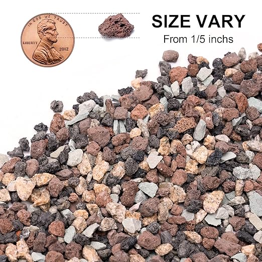 5lbs Small Rocks for Terrarium, Planters Drainage, 1/5 Inch Lava Rock for Bonsai Tree, Decorative Gravel for Succulents, Bamboo, Cactus, Mixed Color-PurrikoPets
