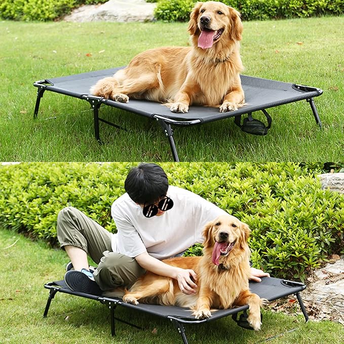 Elevated Raised Small Meduim Dog Bed Cots,Cooling Foldable No Assembly Need Pet Hammock Bed with Breathable Mesh, Indoor Outdoor Dog Pet Bed for Small Meduim Dogs, Chew Proof, Black-PurrikoPets