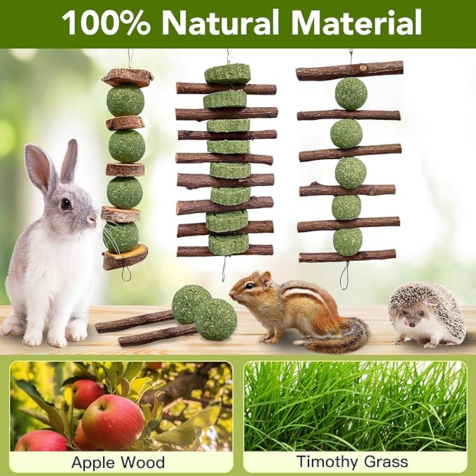 3 Pcs Bunny Chew Toys with 3 Pcs Rabbit Chew Lollipop for Teeth Grinding, Improve Dental Health, Treats for Rabbits Guinea Pigs Chinchillas Bunnies Hamsters-PurrikoPets