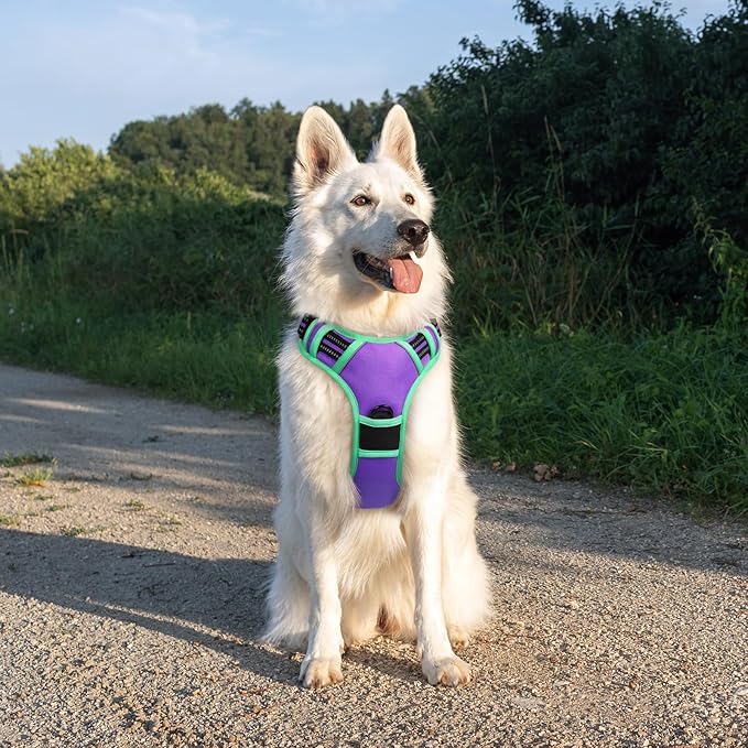 Eagloo Dog Harness for Large Dogs, No Pull Service Vest with Reflective Strips and Control Handle, Adjustable and Comfortable for Walking, No Choke Pet Harness with 2 Metal Rings, Purple & Green, XL-PurrikoPets