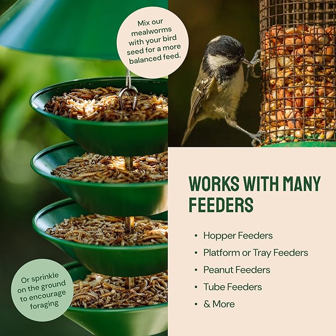 Dried Mealworms - 2 Lb Bag - High Protein Chicken Feed, Mealworms for Birds & Chickens - Meal Worms for Wild Birds & Turtles-PurrikoPets