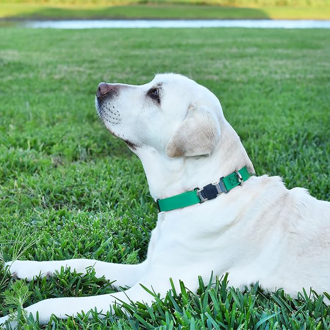 Dogline Biothane Waterproof Dog Collar with Herm Sprenger Black Stainless Steel Quick Release Buckle – Heavy Duty Tactical Durable Collar for Dogs – Comfortable and Safe Pet Collar W 1" L 15-25" Teal-PurrikoPets