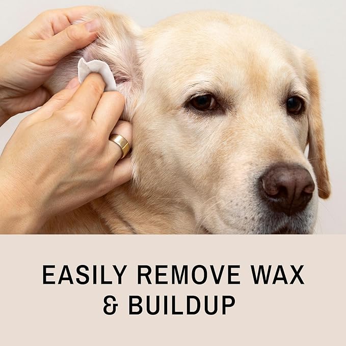Eye Envy Fresh Ear Cleaning Wipes for Dogs. Made in The USA from Natural Ingredients. Unscented. Prevents Infections. Safe and Non-Irritating. Removes Dirt, Debris, and Wax buildup. 60 Count.-PurrikoPets