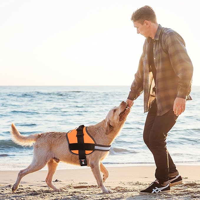 Dogline Dog Harness, Reflective No-Pull Adjustable Vest with Handle for Walking, Training, Breathable, No - Choke Harness for Small, Medium or Large Dogs Room for Patches Girth 33"-46" in Orange-PurrikoPets