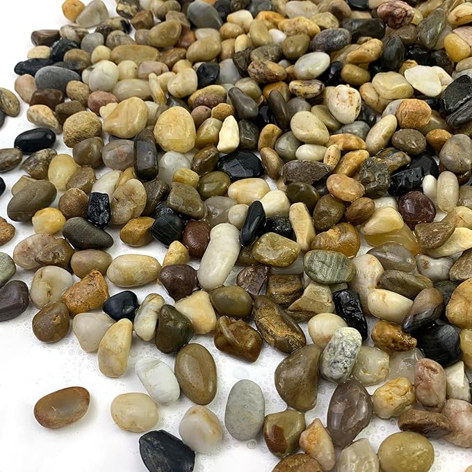 2lbs Aquarium Rocks, 2/5 Inch Pea Gravel for Indoor Plants, Decorative River Rocks for Fish Tank Succulent Vase Plant Soil Cover and Outdoor Landscaping-PurrikoPets