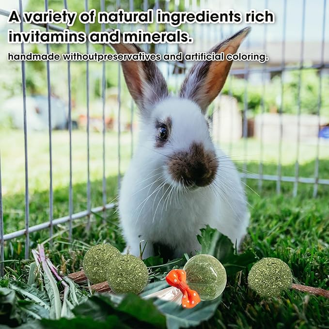 18-Pack Natural Alfalfa & Apple Wood Chew Lollipops for Small Pets - Healthy Dental Toys for Hamsters, Rabbits, Guinea Pigs, Chinchillas-PurrikoPets