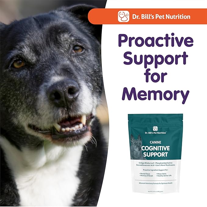 Dr. Bill’s Canine Cognitive Support | Memory Support Supplement Multivitamin for Dogs | Contains Gingko Biloba, L-Carnosine, Vitamin B-12, L-Glutamine, L-Tyrosine, and DHA for Adult and Senior Dog-PurrikoPets