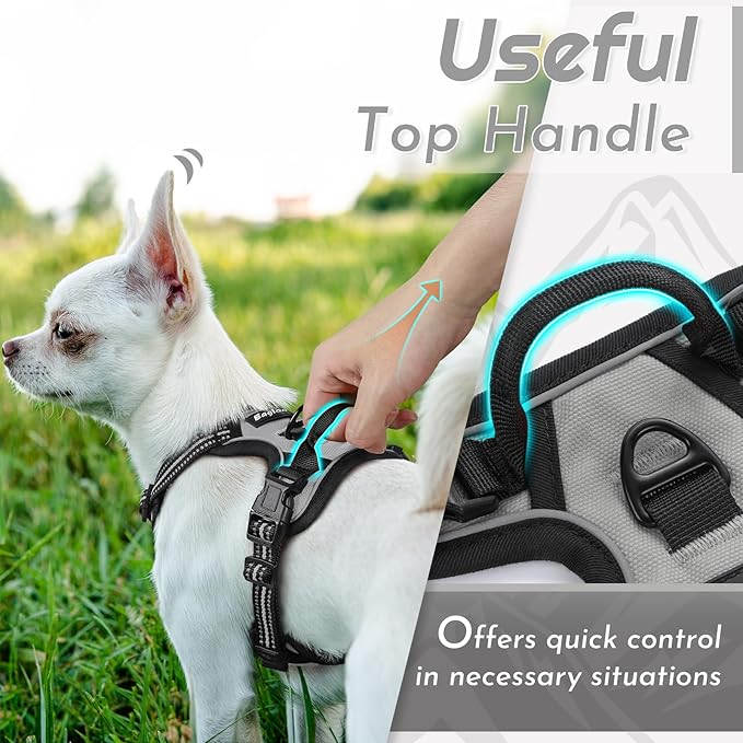 Eagloo Small Dog Harness No Pull, Service Vest with Reflective Strips and Control Handle, Adjustable and Comfortable for Walking, No Choke Pet Harness with 2 Metal Rings, Grey, XS-PurrikoPets
