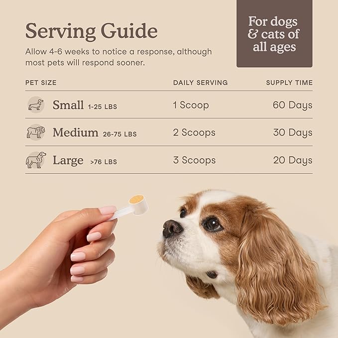 Fera Pets Liver Supplement for Dogs & Cats with Milk Thistle, Choline & Turmeric - Organic Botanicals - Enhances Liver Function, Immunity, Detoxification, & Metabolic Function - Powder - 60 Scoops-PurrikoPets